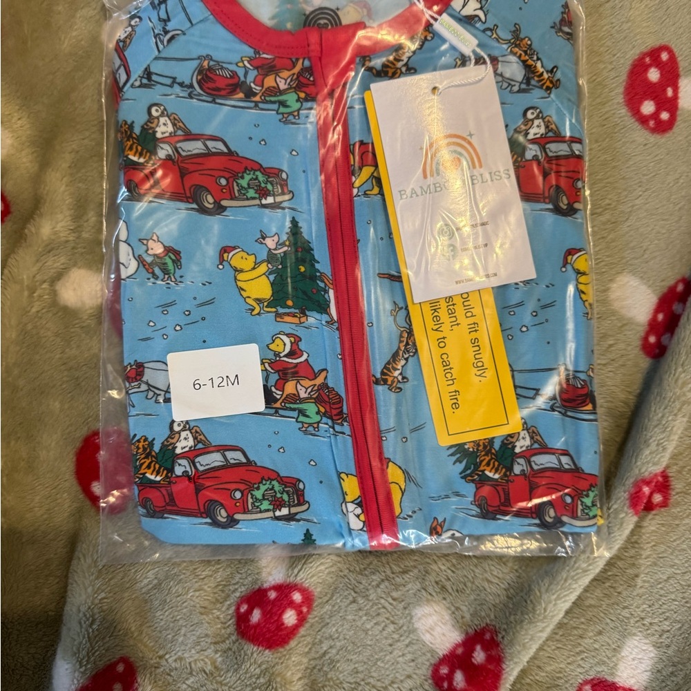 Winnie The Pooh Christmas Zippy